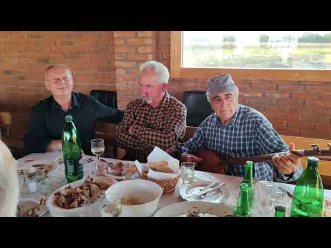 Da je moja draga živa - Piljo Geljić i Josip Tunjić (official live video)