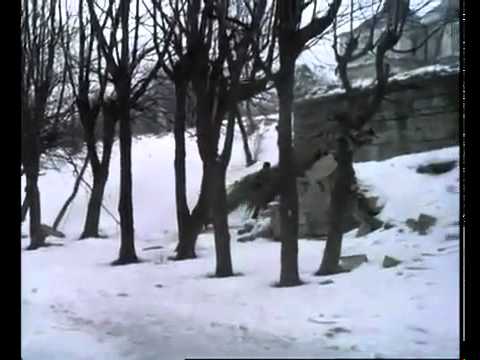 Отрывок из к-ф "Дикая охота короля Стаха"