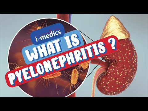 What is Pyelonephritis?👨‍⚕️🩺