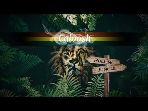 Caloosh - Rolling Jungle ( Jungle Roller Dubwise Raggajungle dnb DJ mix 2020 )