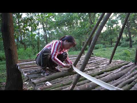 FULL VIDEO: 365 Days Solo Bushcraft, Complete Bushcraft Cabin, Survival Alone in the Forest