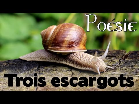 French Poem 🐌 Trois escargots (3 escargots) by Maurice Carême 🐌