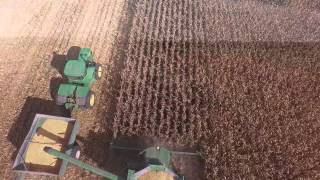 Bickett Farms Morganfield KY