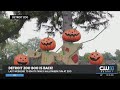 The Detroit Zoo To Host Its Final Weekend Of Family Friendly Halloween Event Zoo Boo Oct 22 24