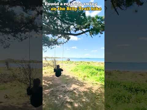 Swinging life away whilst hiking Hayling Island's Billy Trail #ambient #nature #hiking #relaxing