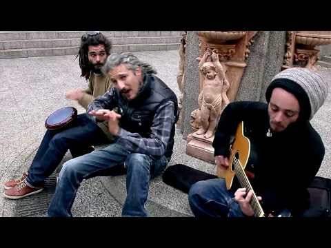 MONSIEUR LÉZARD - SANS PATRON NI HORAIRE (OFFICIELLE)