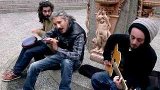 MONSIEUR LÉZARD - SANS PATRON NI HORAIRE (OFFICIELLE)