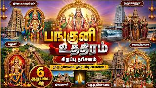 Download lagu இன்று பங்குனி உத்திரம் 2026 கேட்பவர்களுக்கு பணம் பெருகும்! கேளுங்கள் முருகன் மந்திரம் mp3 Download lagu இன்று பங்குனி உத்திரம் 2026 கேட்பவர்களுக்கு பணம் பெருகும்! கேளுங்கள் முருகன் மந்திரம் mp3