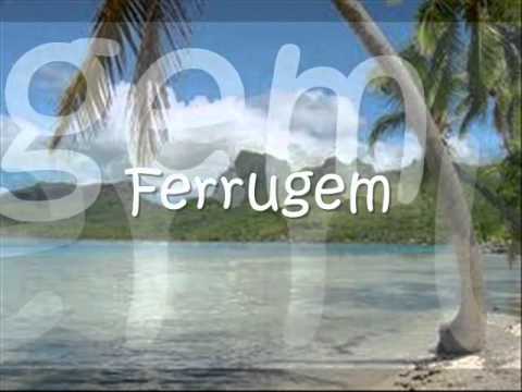 Conoce la Costa Sur de Santa Catarina