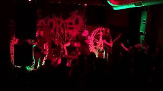 4 - Meticulous Invagination &amp; Parasitic Flesh Resection - Aborted (Live in Durham, NC - 6/20/18)