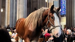 The Annual Blessing of the Animals at St. John the Divine Cathedral | NYC Tradition (Oct 5,2025)