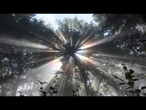 BEVAUES X ADZ - CHWILA