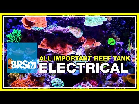 Week 6: Wiring your reef tank, everything you forgot to think about | 52 Weeks of Reefing #BRS160