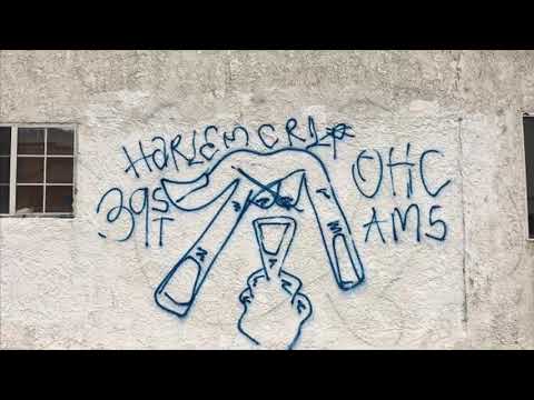 DjDoggpound - N.O.T.S Part2 mixtape Rollin 30's Harlem Crips Niggaz Off The Street Keke Loco