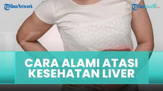Kumpulan Bahan Alami yang Bisa Membantu Meningkatkan Kesehatan Liver