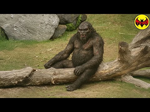 What Researchers Found in the Wild Still Has No Explanation