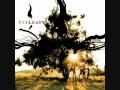 Flyleaf, Amy Says