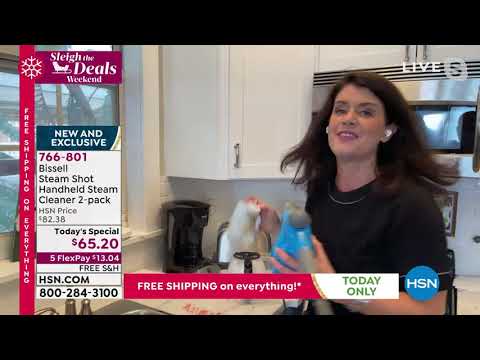 Bissell Steam Shot Handheld Steam Cleaner 2pack