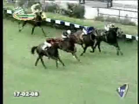 1ra Domingo 17 de Febrero 2008