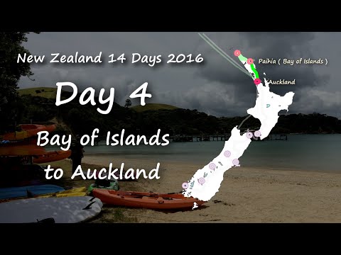New Zealand Trip in 14 Days - Day 4 : Bay of Islands to Auckland
