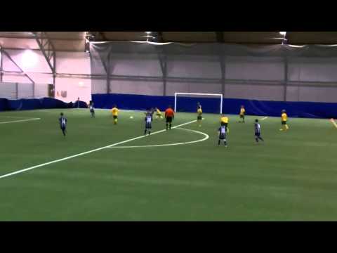 Ilves 04 Värit - TKT