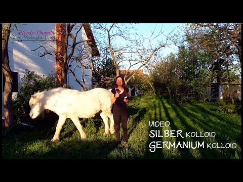 Silber Kolloid, Germanium Kolloid - wann gebe ich sie den Pferden?