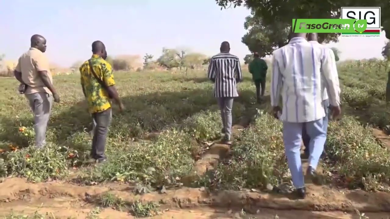Production de tomate : le DG de l’APEC encourage les producteurs du Oubri
