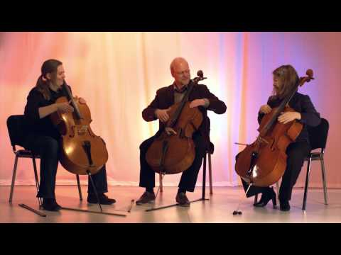 Gabriel Koeppen: Percussion mit Cello 1 - Pop/Rock