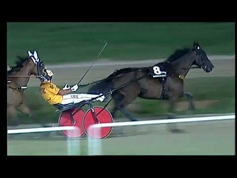 Napoli Trotto 24/08/2022 - 3ª corsa