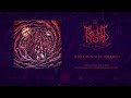 Blut aus Nord - That Cannot Be Dreamed Video