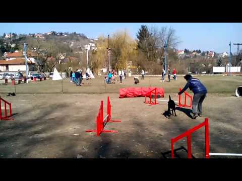 Virág és Csücsök - balra fordulás francia technikával