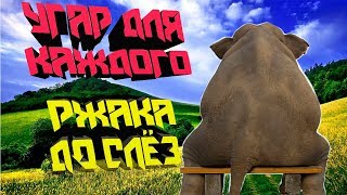 ПРИКОЛЫ 2018. Ржачь до слёз. Угарные приколы. Приколы с животными.Фейлы.Ржака до слёз.Лучшие приколы
