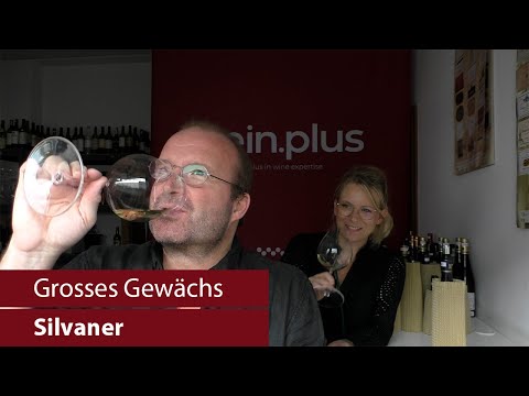 Grosses Gewächs | Nachproben 2021 | Silvaner (Achtung: bricht vor den letzten 3 Weinen ab)