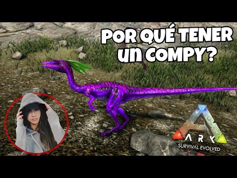 Por qué deberías tamear un COMPY en Ark Survival Evolved? Vídeo extendido #arklavelociblue