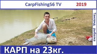 Рыбалка на пхукете карпы