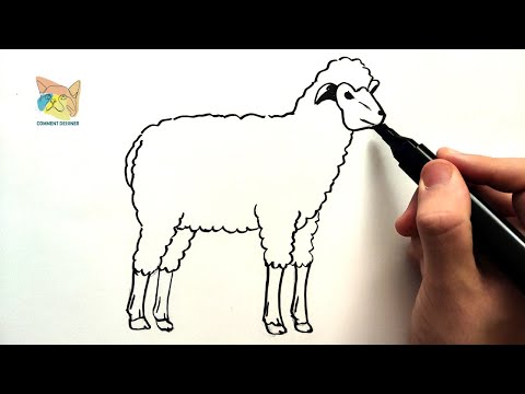 comment dessiner un mouton facile à dessiner étape par étape