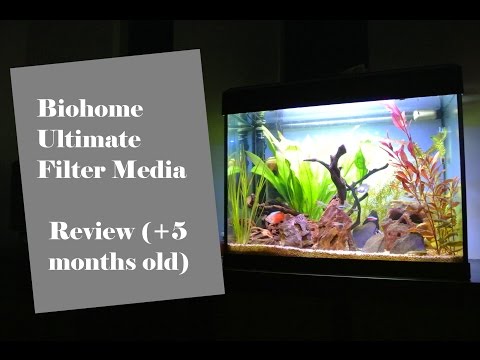 Biohome Ultimate Filter Media Review (More than 5 months use)