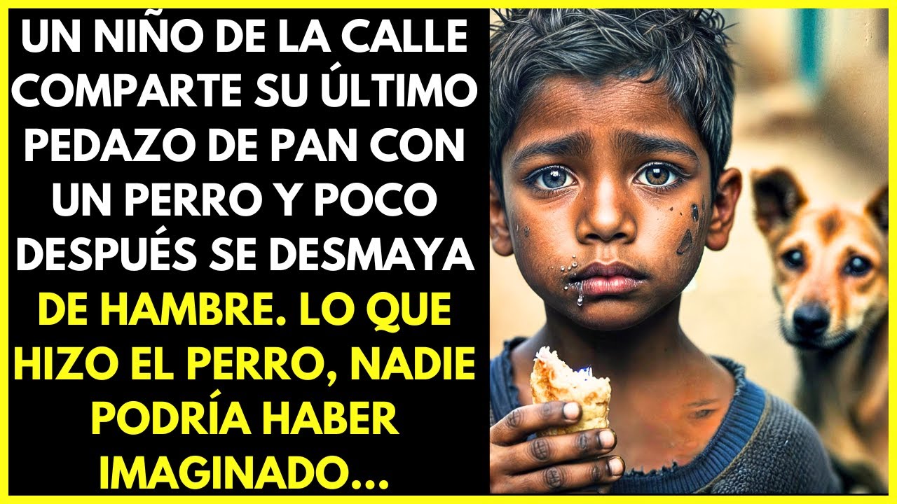 UN NIÑO DIÓ SU ÚLTIMO BOCADO A UN PERRO CALLE