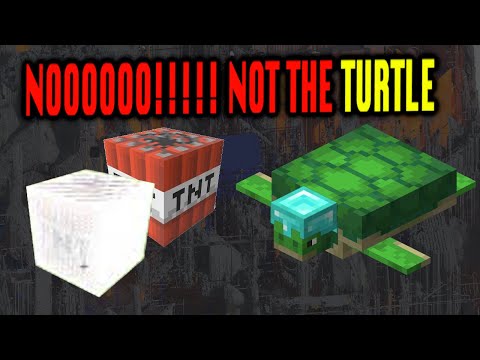 The Turtle Wars: Minecraft Empire vs Void Worshippers