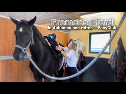 fremdes Pferd reiten & PonyClub Aubenhausen✨ | Lea Jell