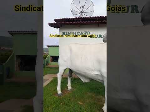 sindicato rural da cidade de barro alto Goiás