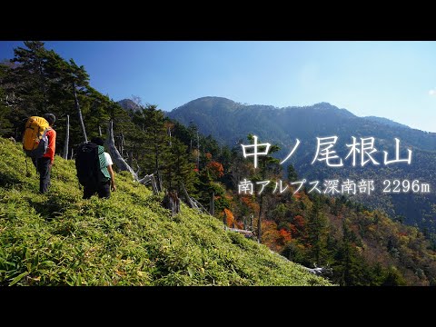 「深南部」の知識を凝縮