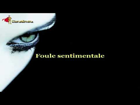 Alain Souchon - Foule sentimentale  [Karaoke]