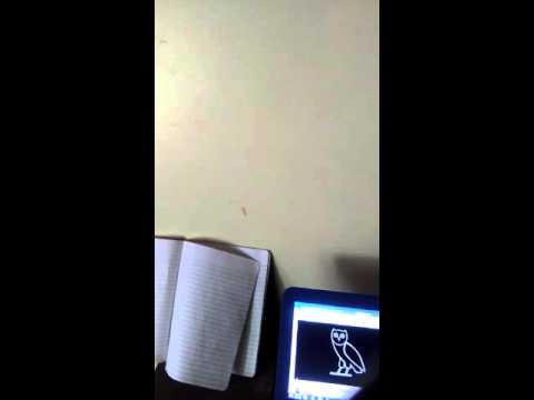 N-Y Freestyle Dis @MariahLynnBoss aka #SnowFlake