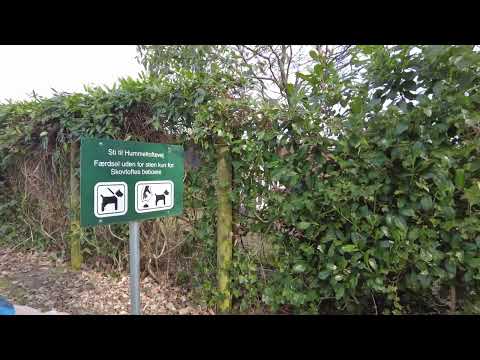 MongoTV_8586 - MIN GÅTUR - Del 5 - FREDAG 25.Marts 2022 - Henter Pakke Tegneserier og Går En Tur