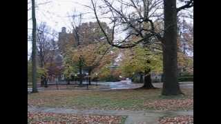 preview picture of video 'Hurricane Sandy in Princeton:8:42A.M.Monday,October 29,2012.'