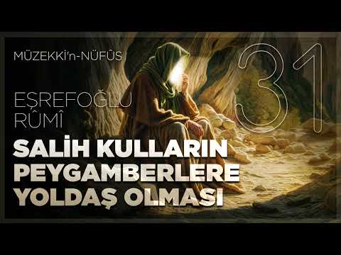 Salih Kulların Peygamberlere Yoldaş Olması - 31.Bölüm - 🎧 Sesli Kitap