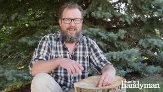 How to Remove a Tree Stump Painlessly