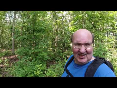 MongoTV_3445 - Danish Vlog - Del 1 - Skovtur og Henter Cola