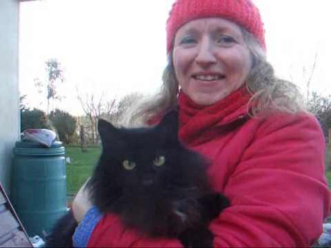 Aeráid - Gheobhaidh Cait Bás